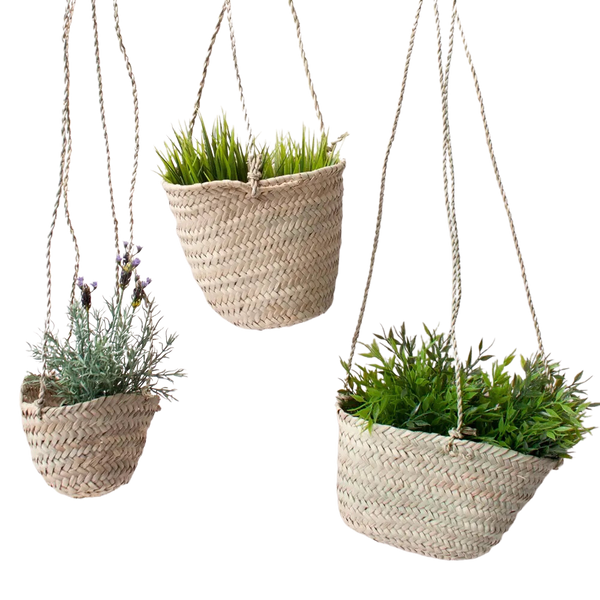 hanging planter basket (various)