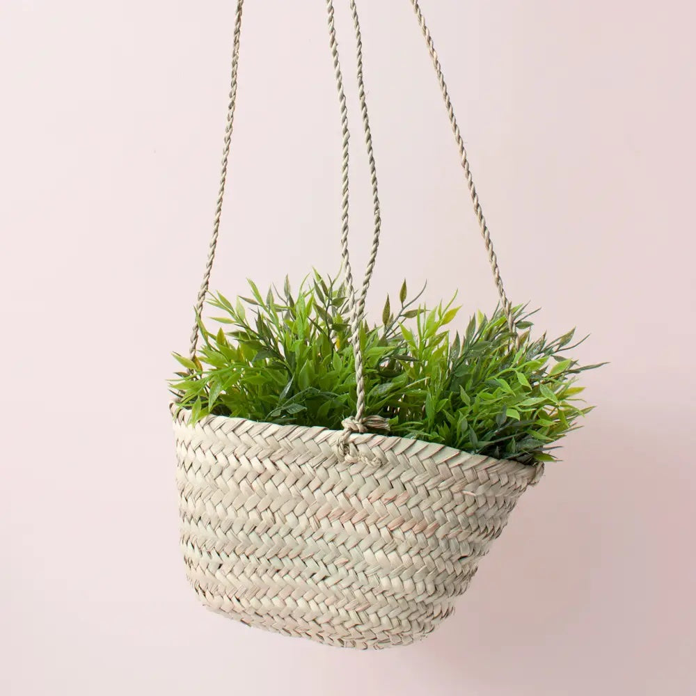 hanging planter basket (various)