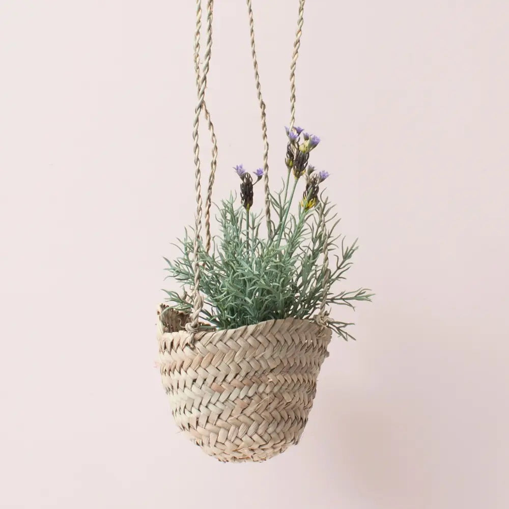hanging planter basket (various)