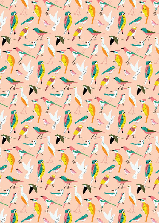 birds gift wrap