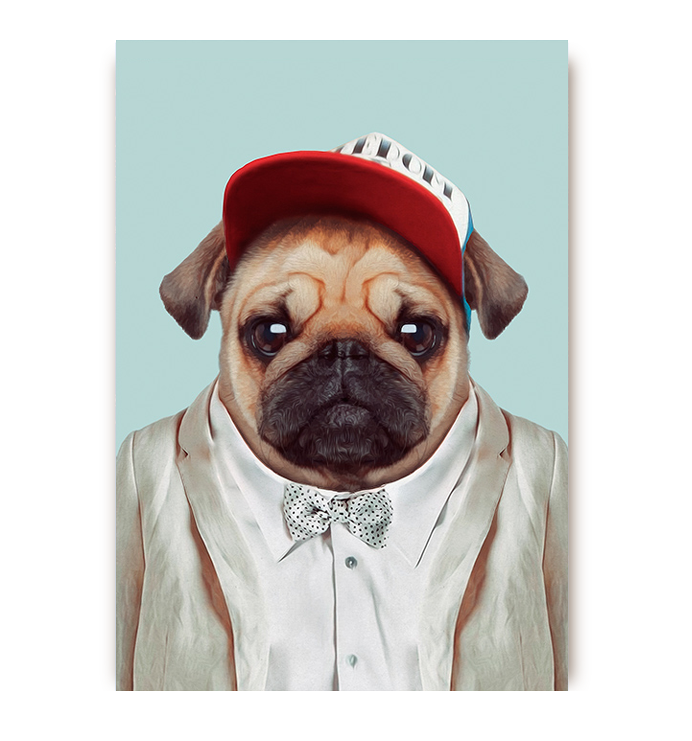 pug postcard