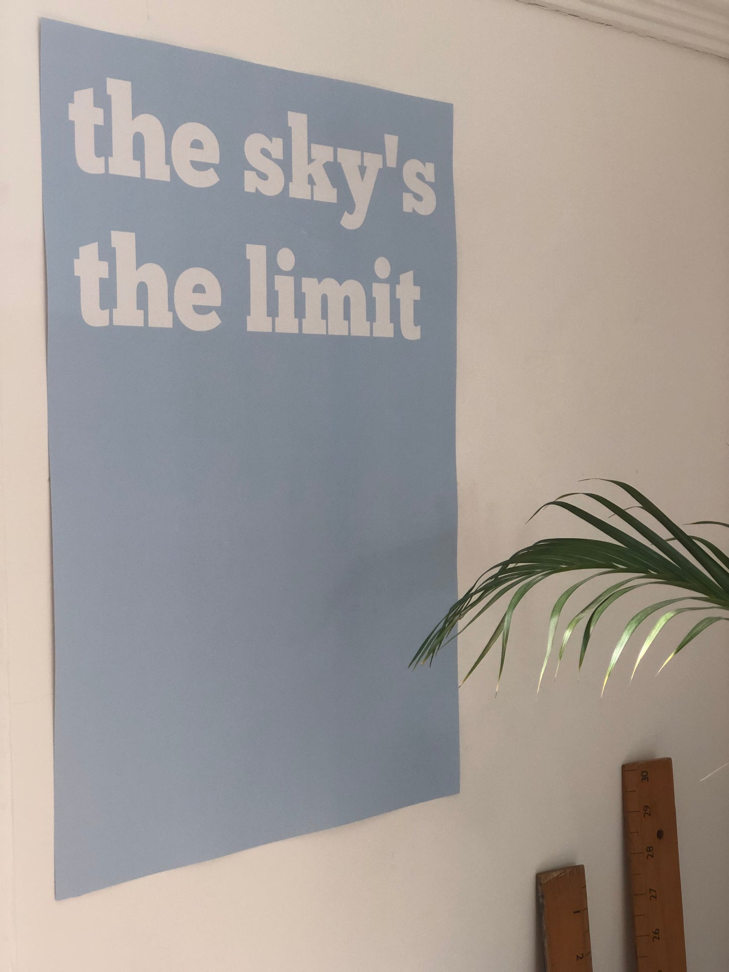 the sky’s the limit poster